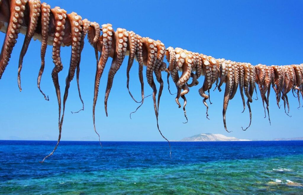 Arpaxtiko.gr επιχειρήσεις