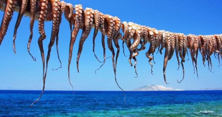 Arpaxtiko.gr επιχειρήσεις